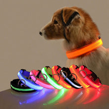 Load image into Gallery viewer, LED Dog Collar with USB Charging Colorful Lights
