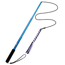 Load image into Gallery viewer, Interactive Flirt Pole Dog Toy
