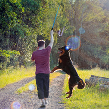 Load image into Gallery viewer, Interactive Flirt Pole Dog Toy
