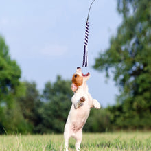 Load image into Gallery viewer, Interactive Flirt Pole Dog Toy
