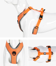 Load image into Gallery viewer, Truelove Tactical Control Padded Dog Harness
