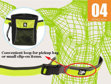 Load image into Gallery viewer, Truelove Elastic Bungee Dog Leash
