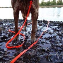 Load image into Gallery viewer, Waterproof PVC Long Leash for Recall Training, Hunting, and Tracking
