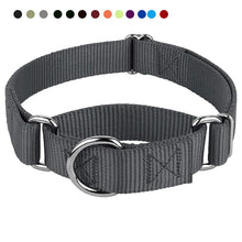 Load image into Gallery viewer, Martingale Dog Collar
