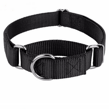 Load image into Gallery viewer, Martingale Dog Collar
