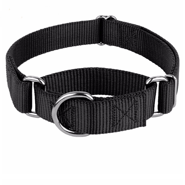 Martingale Dog Collar