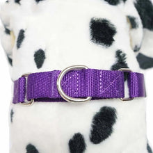 Load image into Gallery viewer, Martingale Dog Collar
