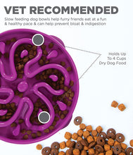 Load image into Gallery viewer, Outward Hound Fun Feeder Slo Bowl

