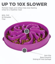 Load image into Gallery viewer, Outward Hound Fun Feeder Slo Bowl
