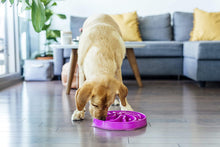 Load image into Gallery viewer, Outward Hound Fun Feeder Slo Bowl
