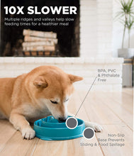 Load image into Gallery viewer, Outward Hound Fun Feeder Slo Bowl
