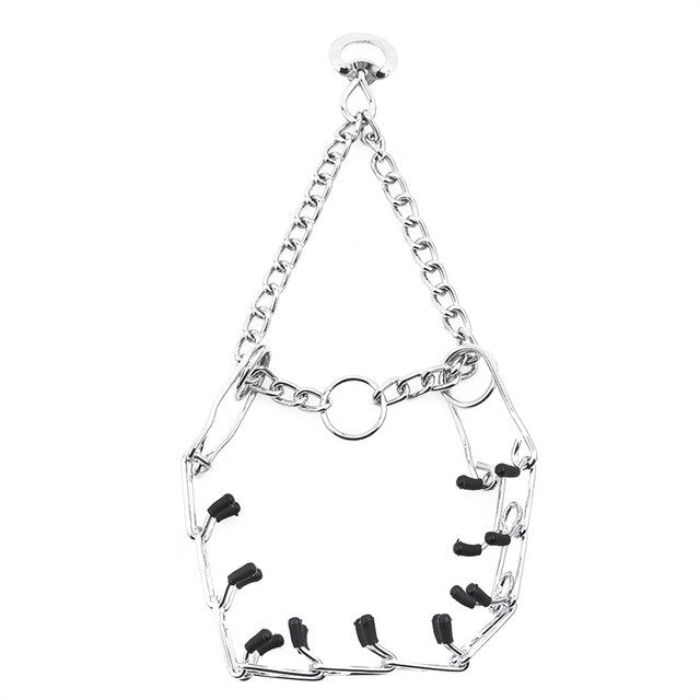 Prong Training Collars