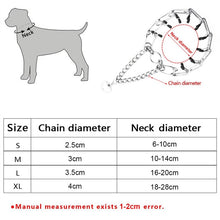 Load image into Gallery viewer, Prong Training Collars
