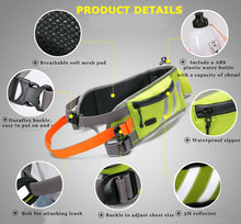 Load image into Gallery viewer, Truelove Hand Free Adjustable Jogging Belt
