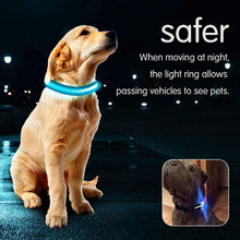 Load image into Gallery viewer, LED Dog Collar with USB Charging Colorful Lights
