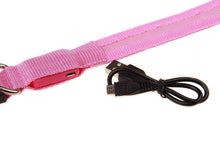 Load image into Gallery viewer, LED Dog Collar with USB Charging Colorful Lights
