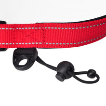 Load image into Gallery viewer, Hands Free Dog Running Leash
