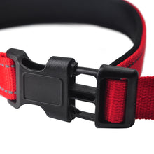 Load image into Gallery viewer, Hands Free Dog Running Leash
