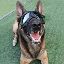 Load image into Gallery viewer, UV Resistant Doggles
