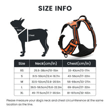Load image into Gallery viewer, Truelove Front Range Reflective Dog Harness
