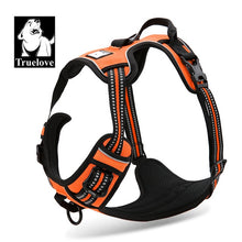 Load image into Gallery viewer, Truelove Front Range Reflective Dog Harness
