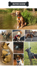 Load image into Gallery viewer, Truelove Front Range Reflective Dog Harness
