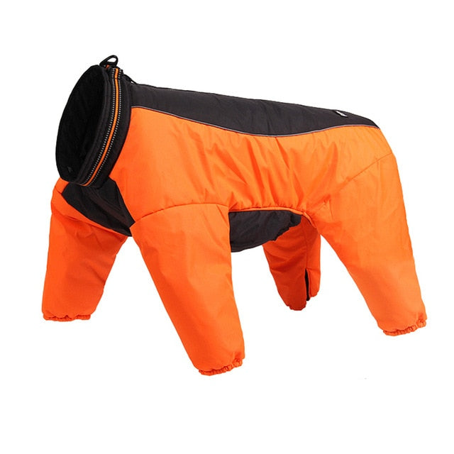 Truelove Reversible Waterproof Dog Suit