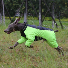 Load image into Gallery viewer, Truelove Reversible Waterproof Dog Suit
