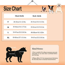 Load image into Gallery viewer, Benepaw Comfortable Dog Life Jacket

