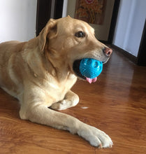 Load image into Gallery viewer, CHASE&#39;N CHOMP Squeaker Ball
