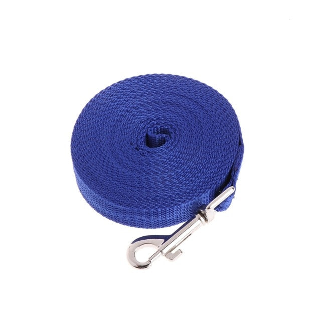 Recall Training Long Leash
