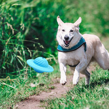Load image into Gallery viewer, Interactive Toys Food Dispenser for Dogs
