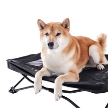 Load image into Gallery viewer, Elevated Folding Pet Bed Cot
