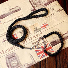 Load image into Gallery viewer, Matching Martingale Collar and Leash Rope Sets
