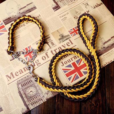 Matching Martingale Collar and Leash Rope Sets