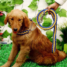Load image into Gallery viewer, Matching Martingale Collar and Leash Rope Sets
