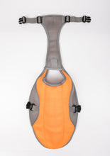 Load image into Gallery viewer, Summer Dog Cooling Vest
