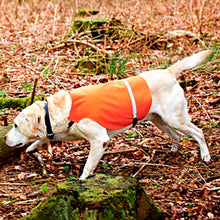 Load image into Gallery viewer, Tourbon Hunting Orange Dogs Vest
