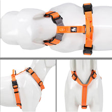 Load image into Gallery viewer, Truelove Padded Dog Body Harness
