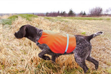 Load image into Gallery viewer, Tourbon Hunting Orange Dogs Vest
