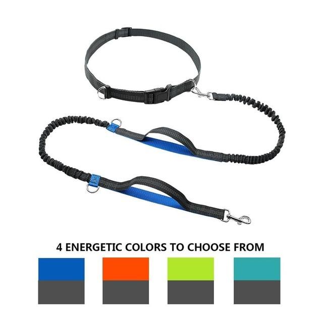 Hands Free Running Leash